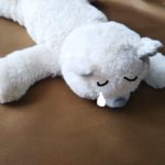 DVの始まりと原因を体験からまとめる！DVとは何か？