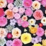 夫が在宅テレワークになった場合のDVシュエルターへの逃げ方