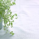 DVシェルターに避難する方法と実際に入った体験談(公的・民間)