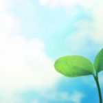 精神科デイケアではどんなことをするのか？通っていた感想は？体験談あり