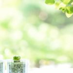 精神科に通っているとアパート探しは難しいので大家さんと管理会社には内緒にしている