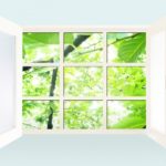 一戸建てとマンションのメリットをデメリットを比較してみた・体験談あり